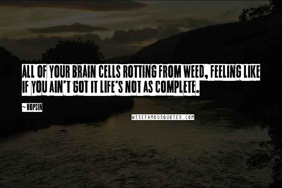 Hopsin Quotes: All of your brain cells rotting from weed, feeling like if you ain't got it life's not as complete.