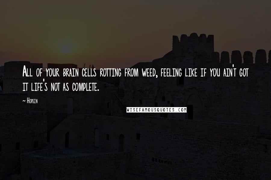 Hopsin Quotes: All of your brain cells rotting from weed, feeling like if you ain't got it life's not as complete.