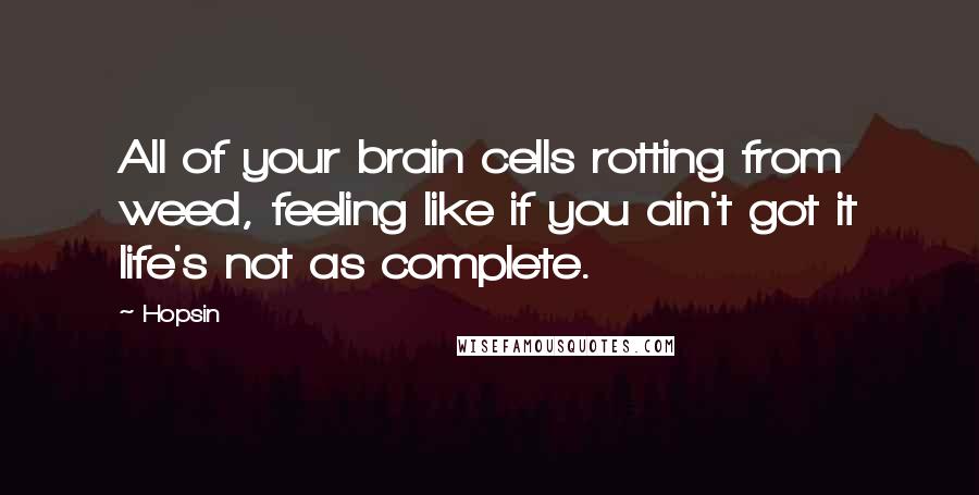 Hopsin Quotes: All of your brain cells rotting from weed, feeling like if you ain't got it life's not as complete.