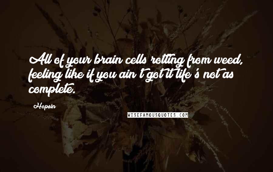 Hopsin Quotes: All of your brain cells rotting from weed, feeling like if you ain't got it life's not as complete.