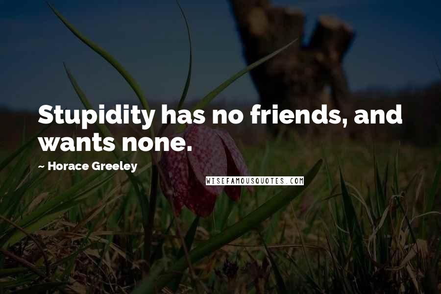 Horace Greeley Quotes: Stupidity has no friends, and wants none.