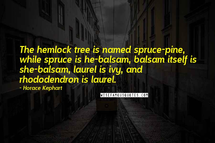 Horace Kephart Quotes: The hemlock tree is named spruce-pine, while spruce is he-balsam, balsam itself is she-balsam, laurel is ivy, and rhododendron is laurel.