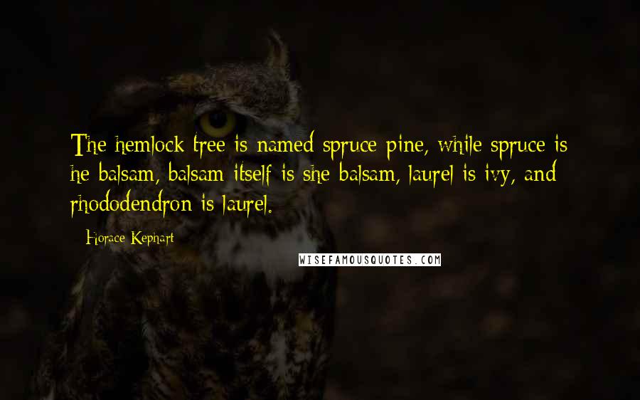 Horace Kephart Quotes: The hemlock tree is named spruce-pine, while spruce is he-balsam, balsam itself is she-balsam, laurel is ivy, and rhododendron is laurel.