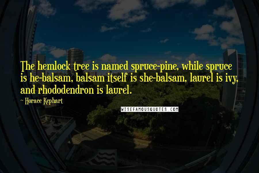 Horace Kephart Quotes: The hemlock tree is named spruce-pine, while spruce is he-balsam, balsam itself is she-balsam, laurel is ivy, and rhododendron is laurel.