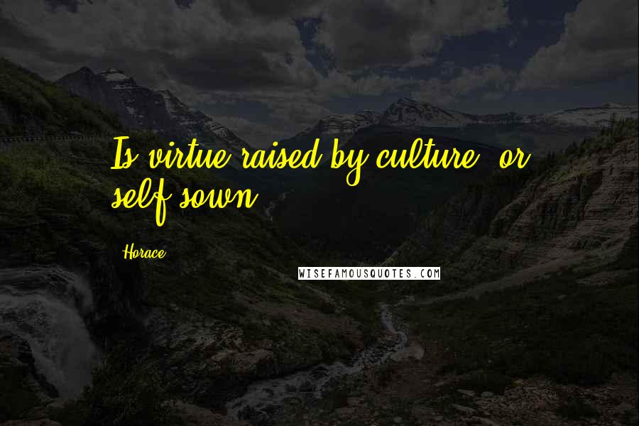 Horace Quotes: Is virtue raised by culture, or self-sown?