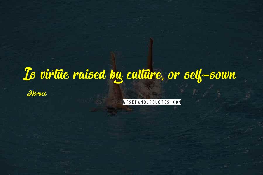 Horace Quotes: Is virtue raised by culture, or self-sown?