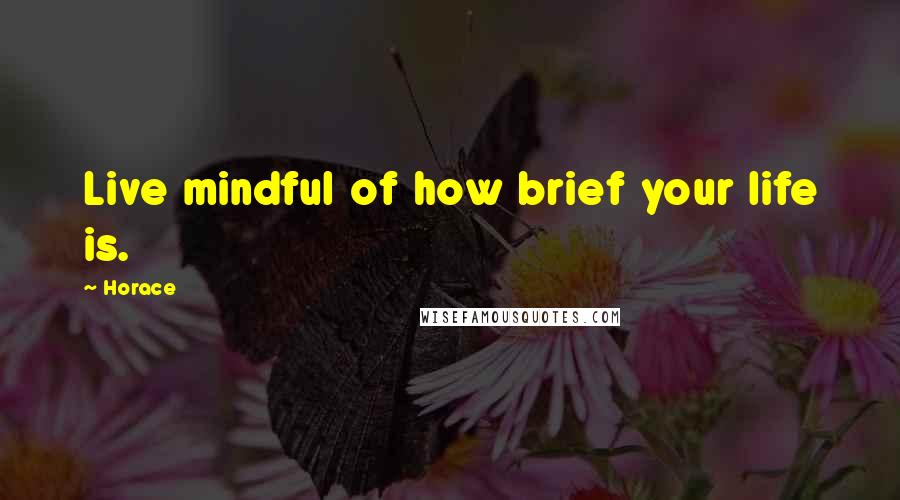 Horace Quotes: Live mindful of how brief your life is.