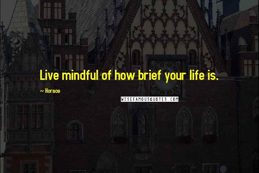 Horace Quotes: Live mindful of how brief your life is.