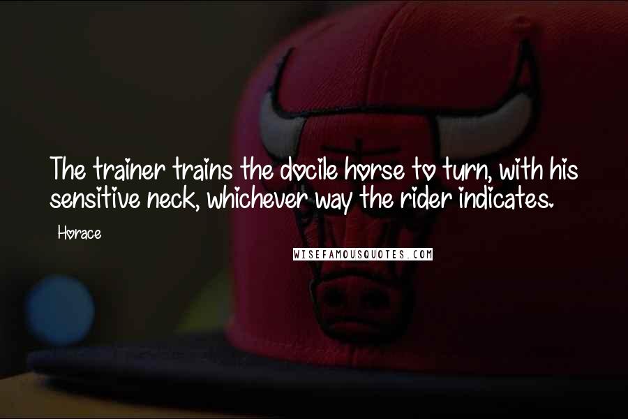 Horace Quotes: The trainer trains the docile horse to turn, with his sensitive neck, whichever way the rider indicates.