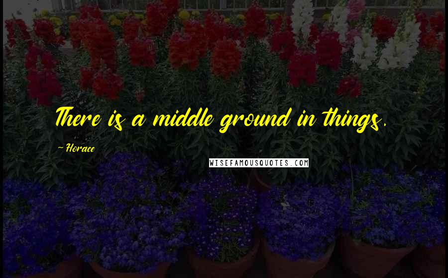 Horace Quotes: There is a middle ground in things.