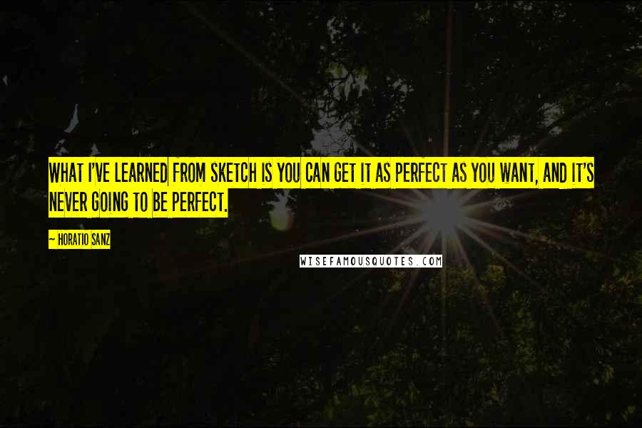 Horatio Sanz Quotes: What I've learned from sketch is you can get it as perfect as you want, and it's never going to be perfect.