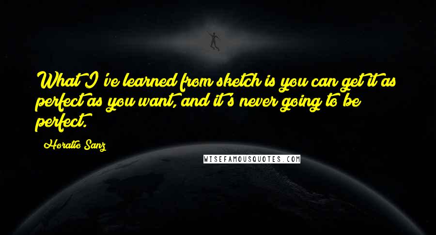 Horatio Sanz Quotes: What I've learned from sketch is you can get it as perfect as you want, and it's never going to be perfect.