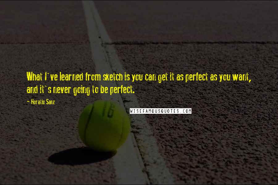Horatio Sanz Quotes: What I've learned from sketch is you can get it as perfect as you want, and it's never going to be perfect.