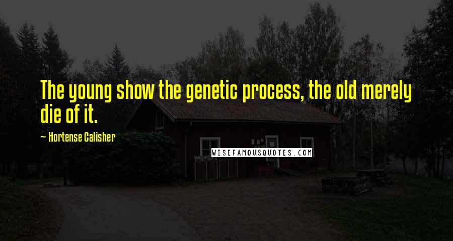 Hortense Calisher Quotes: The young show the genetic process, the old merely die of it.