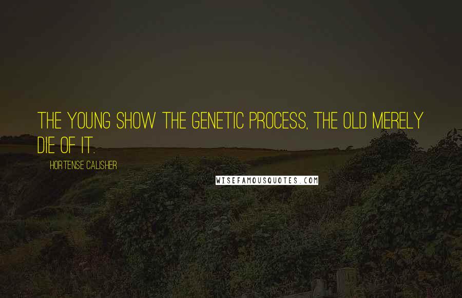 Hortense Calisher Quotes: The young show the genetic process, the old merely die of it.