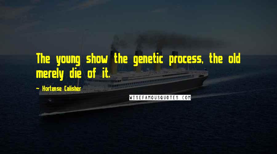 Hortense Calisher Quotes: The young show the genetic process, the old merely die of it.