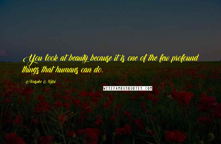 Housuke Nojiri Quotes: You look at beauty because it is one of the few profound things that humans can do.