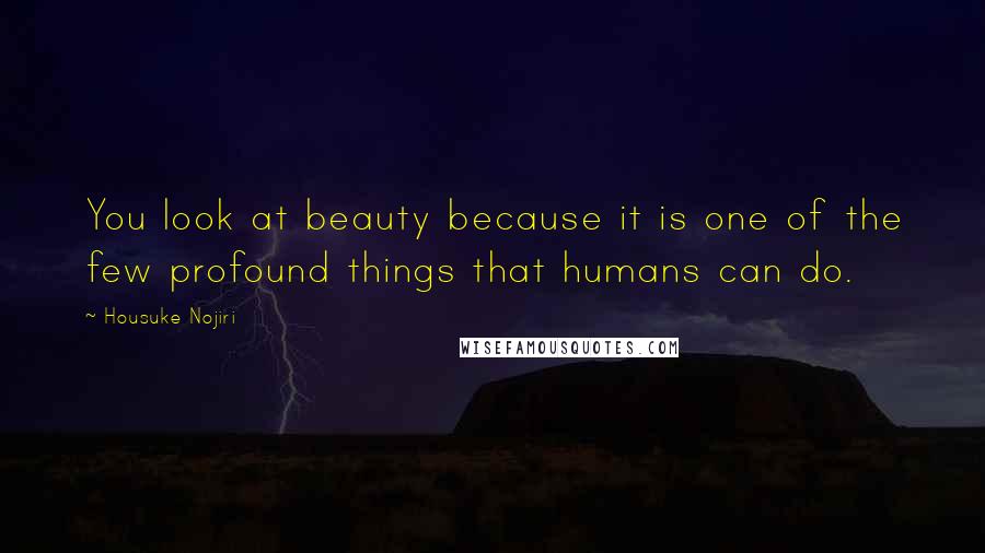 Housuke Nojiri Quotes: You look at beauty because it is one of the few profound things that humans can do.