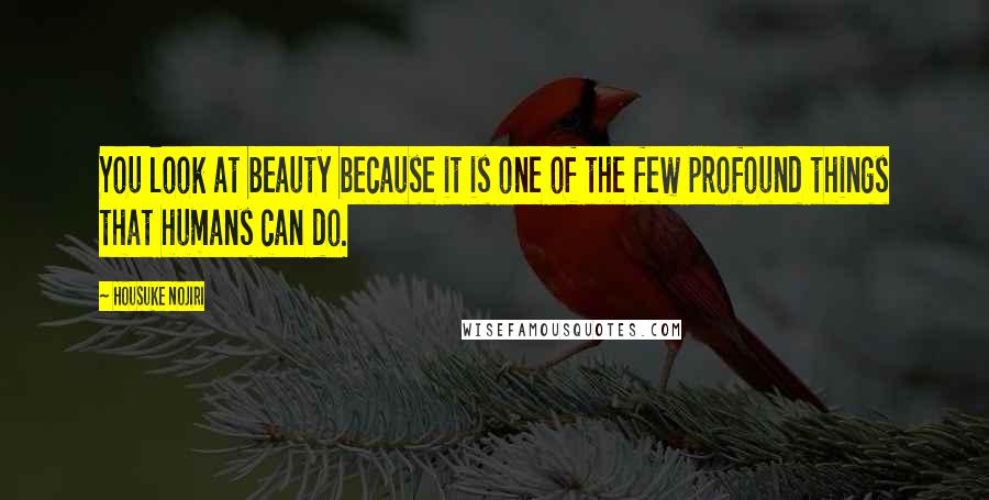 Housuke Nojiri Quotes: You look at beauty because it is one of the few profound things that humans can do.