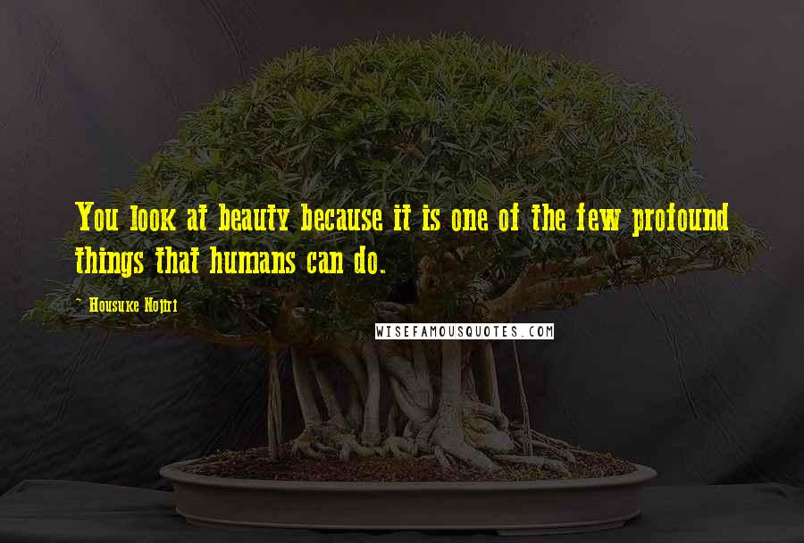 Housuke Nojiri Quotes: You look at beauty because it is one of the few profound things that humans can do.