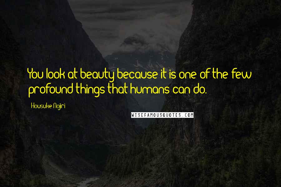 Housuke Nojiri Quotes: You look at beauty because it is one of the few profound things that humans can do.