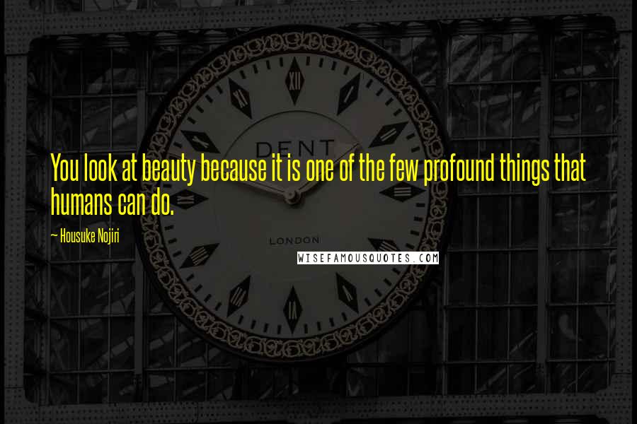 Housuke Nojiri Quotes: You look at beauty because it is one of the few profound things that humans can do.