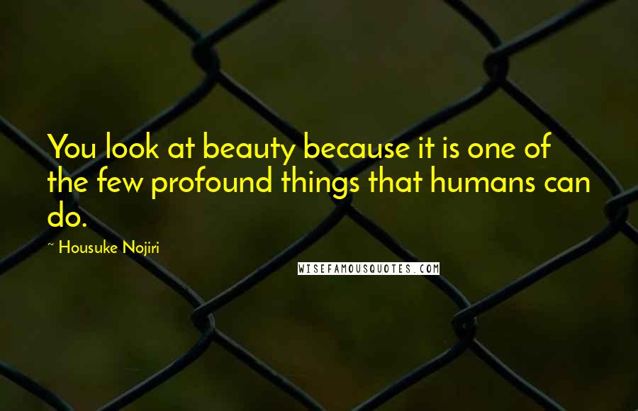 Housuke Nojiri Quotes: You look at beauty because it is one of the few profound things that humans can do.
