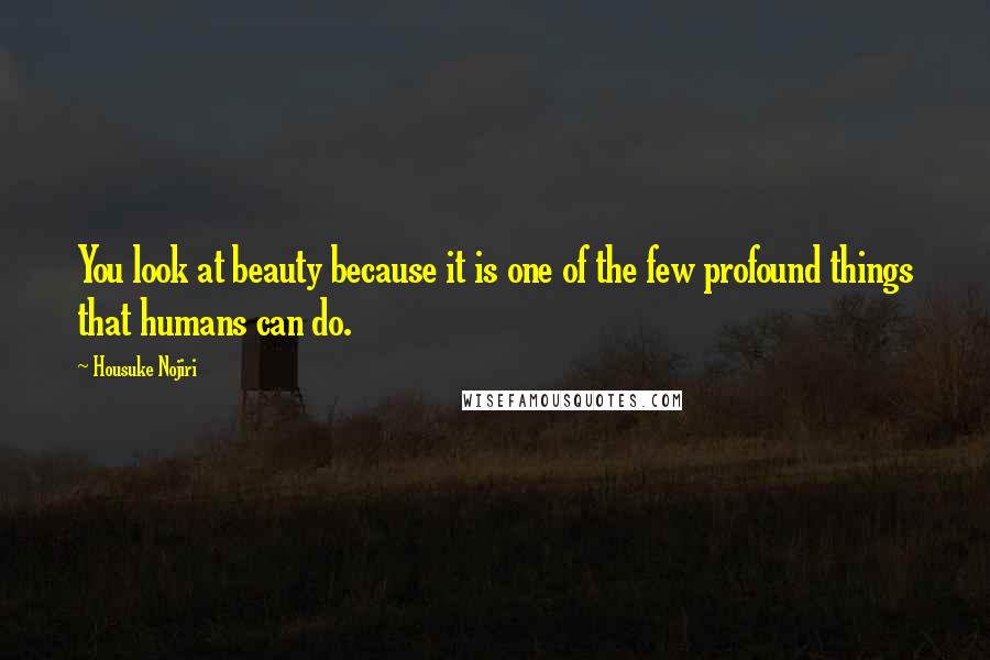Housuke Nojiri Quotes: You look at beauty because it is one of the few profound things that humans can do.
