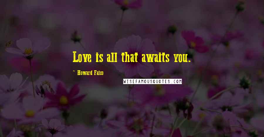 Howard Falco Quotes: Love is all that awaits you.