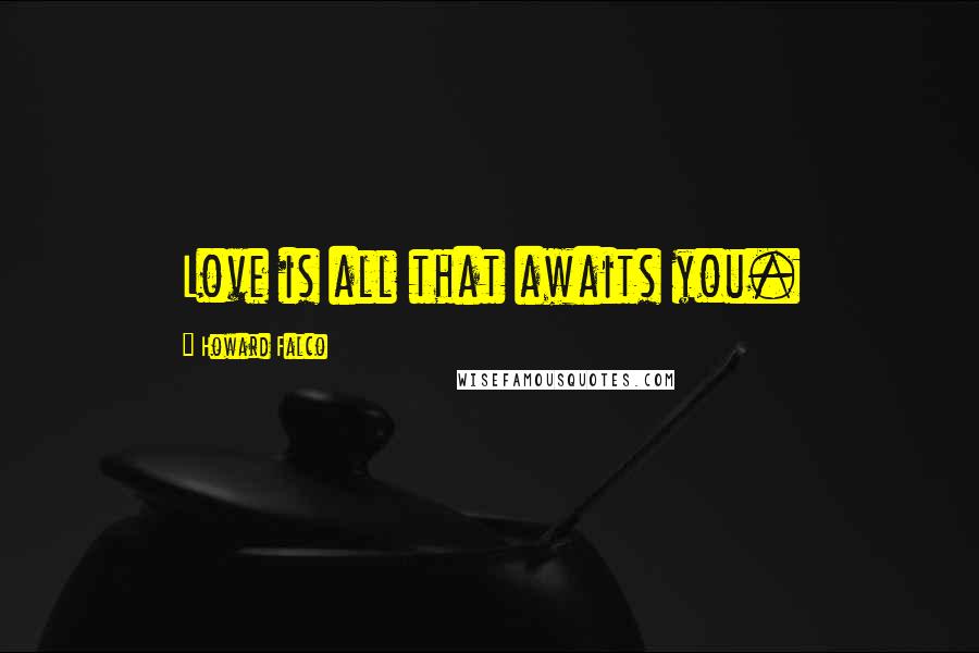 Howard Falco Quotes: Love is all that awaits you.