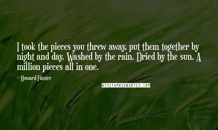 Howard Finster Quotes: I took the pieces you threw away, put them together by night and day. Washed by the rain. Dried by the sun. A million pieces all in one.