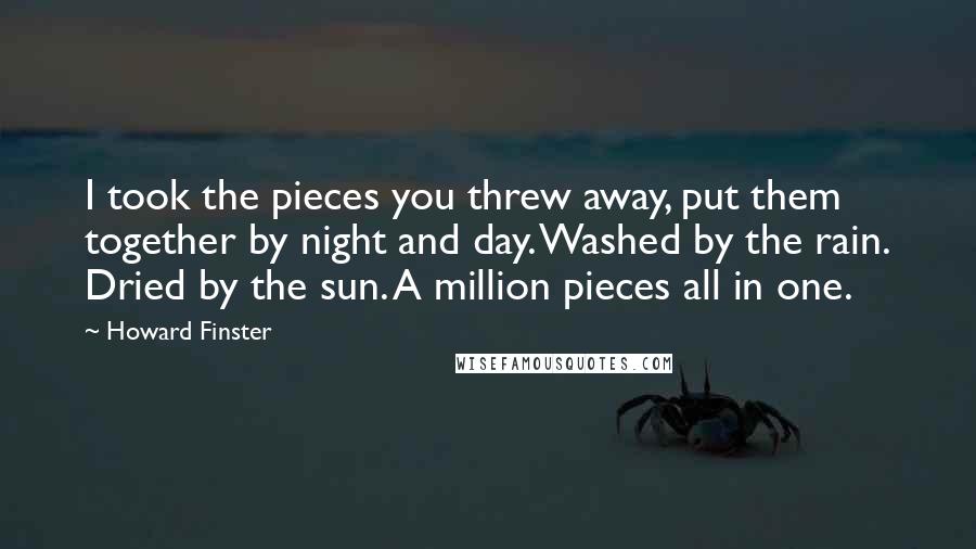 Howard Finster Quotes: I took the pieces you threw away, put them together by night and day. Washed by the rain. Dried by the sun. A million pieces all in one.