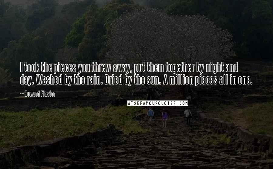 Howard Finster Quotes: I took the pieces you threw away, put them together by night and day. Washed by the rain. Dried by the sun. A million pieces all in one.