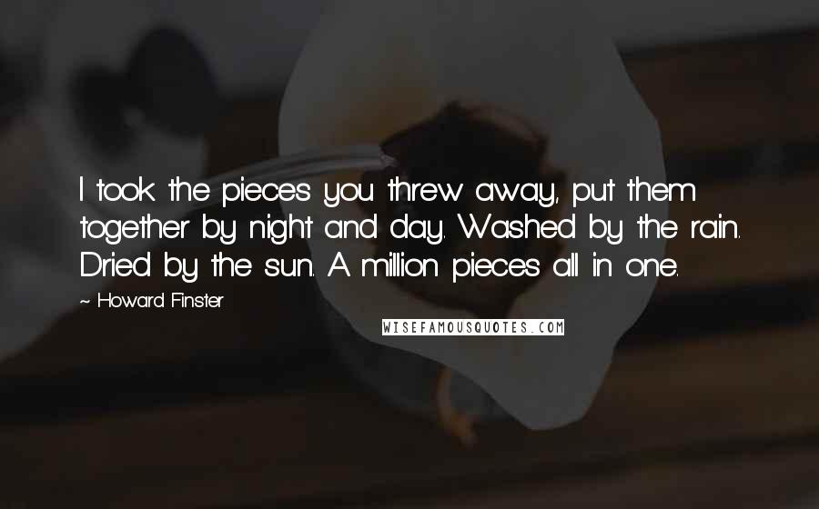 Howard Finster Quotes: I took the pieces you threw away, put them together by night and day. Washed by the rain. Dried by the sun. A million pieces all in one.