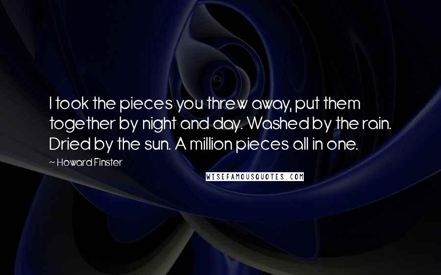 Howard Finster Quotes: I took the pieces you threw away, put them together by night and day. Washed by the rain. Dried by the sun. A million pieces all in one.