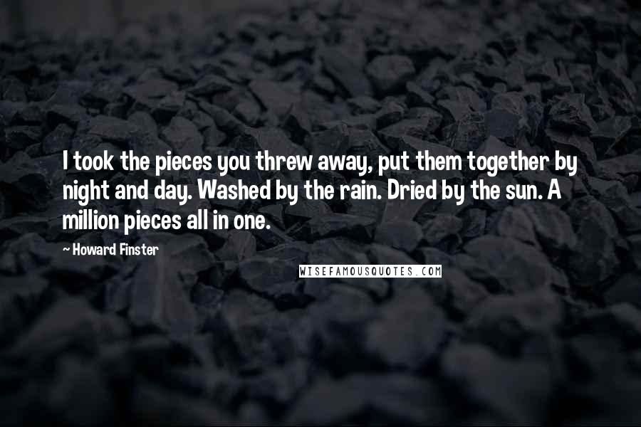 Howard Finster Quotes: I took the pieces you threw away, put them together by night and day. Washed by the rain. Dried by the sun. A million pieces all in one.
