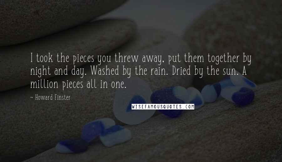 Howard Finster Quotes: I took the pieces you threw away, put them together by night and day. Washed by the rain. Dried by the sun. A million pieces all in one.