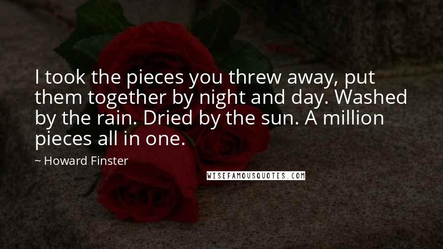 Howard Finster Quotes: I took the pieces you threw away, put them together by night and day. Washed by the rain. Dried by the sun. A million pieces all in one.