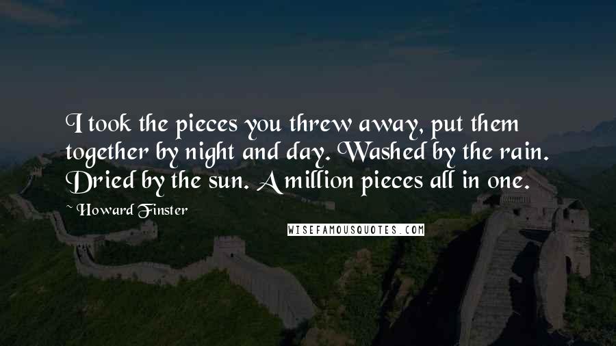 Howard Finster Quotes: I took the pieces you threw away, put them together by night and day. Washed by the rain. Dried by the sun. A million pieces all in one.