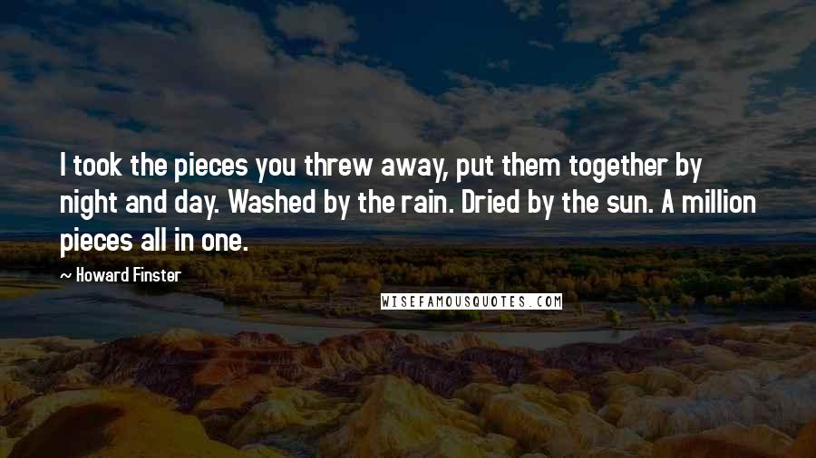 Howard Finster Quotes: I took the pieces you threw away, put them together by night and day. Washed by the rain. Dried by the sun. A million pieces all in one.