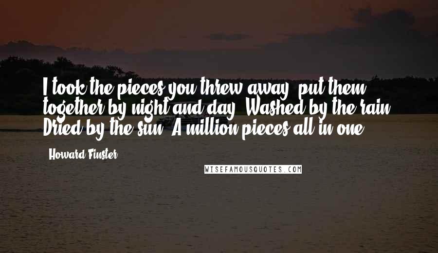 Howard Finster Quotes: I took the pieces you threw away, put them together by night and day. Washed by the rain. Dried by the sun. A million pieces all in one.