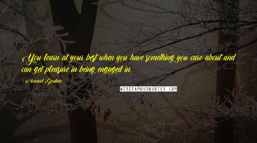 Howard Gardner Quotes: You learn at your best when you have something you care about and can get pleasure in being engaged in.