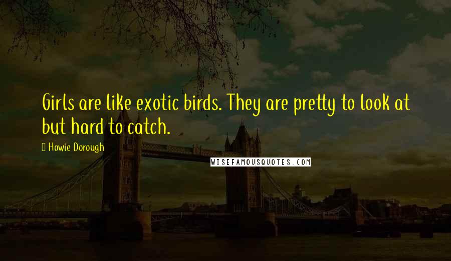 Howie Dorough Quotes: Girls are like exotic birds. They are pretty to look at but hard to catch.