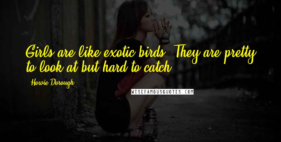 Howie Dorough Quotes: Girls are like exotic birds. They are pretty to look at but hard to catch.