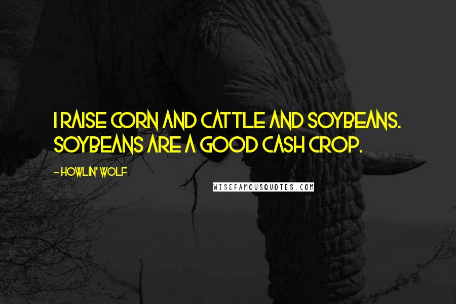 Howlin' Wolf Quotes: I raise corn and cattle and soybeans. Soybeans are a good cash crop.
