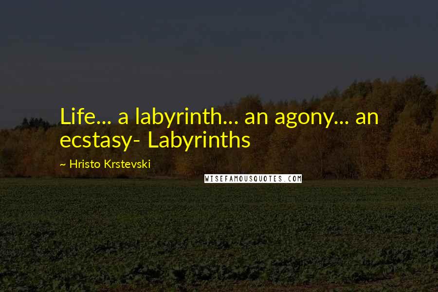 Hristo Krstevski Quotes: Life... a labyrinth... an agony... an ecstasy- Labyrinths