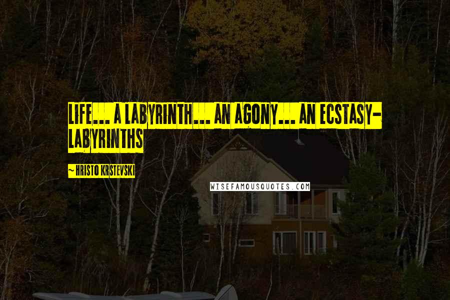 Hristo Krstevski Quotes: Life... a labyrinth... an agony... an ecstasy- Labyrinths