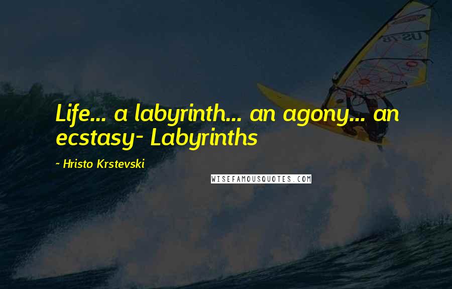 Hristo Krstevski Quotes: Life... a labyrinth... an agony... an ecstasy- Labyrinths