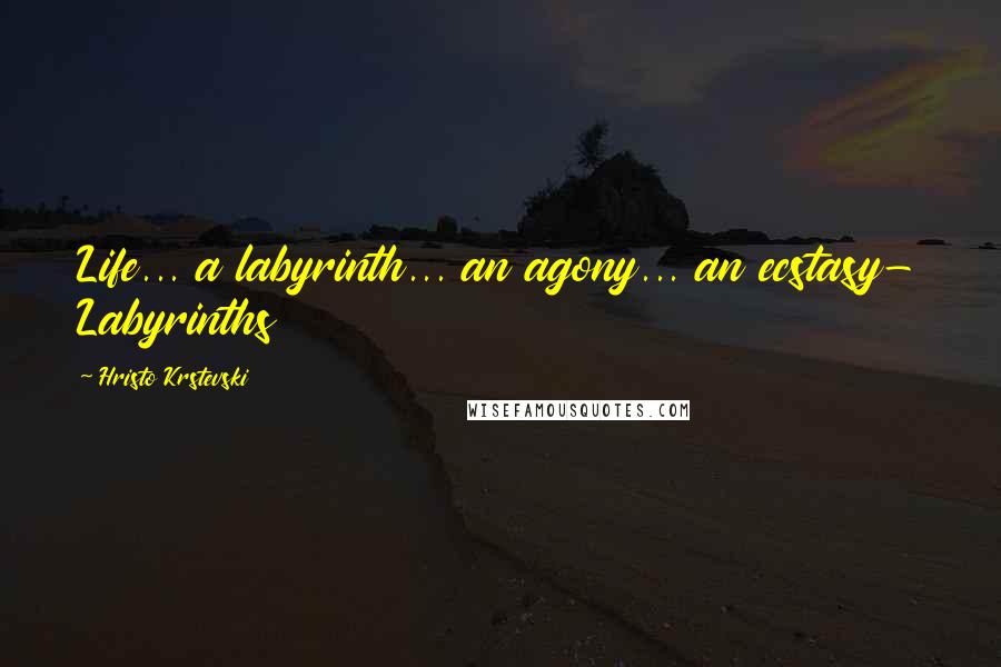 Hristo Krstevski Quotes: Life... a labyrinth... an agony... an ecstasy- Labyrinths