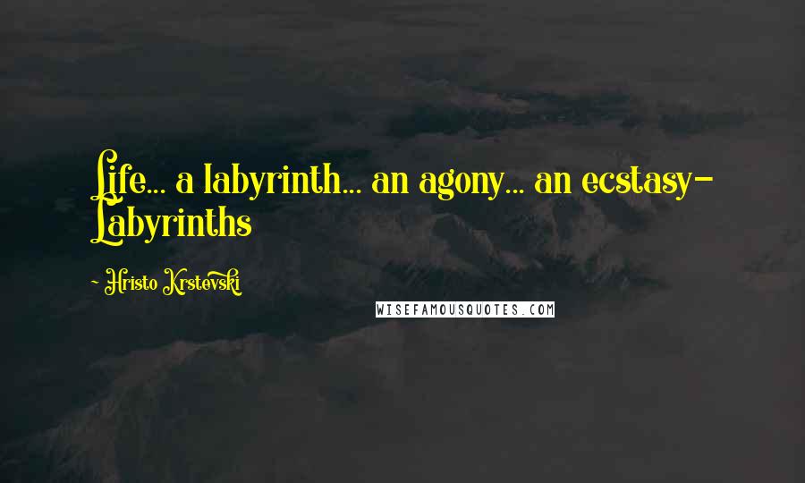 Hristo Krstevski Quotes: Life... a labyrinth... an agony... an ecstasy- Labyrinths